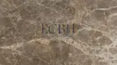 BEIGE SNAKE BROWN MARBLE - ECBH NATURAL STONES