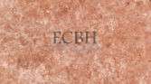 RED TRAVERTINE ROSE TRAVERTINE - ROSE MARBLE - PINK MARBLE TILES - SPANISH MARBLE - ECBH NATURAL STONES