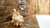 ECBH Natural Stones Polished Brown Marble Dark Emperador - www.ecbhnaturalstones.com