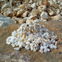 ECBH GOLD MACAEL (3)